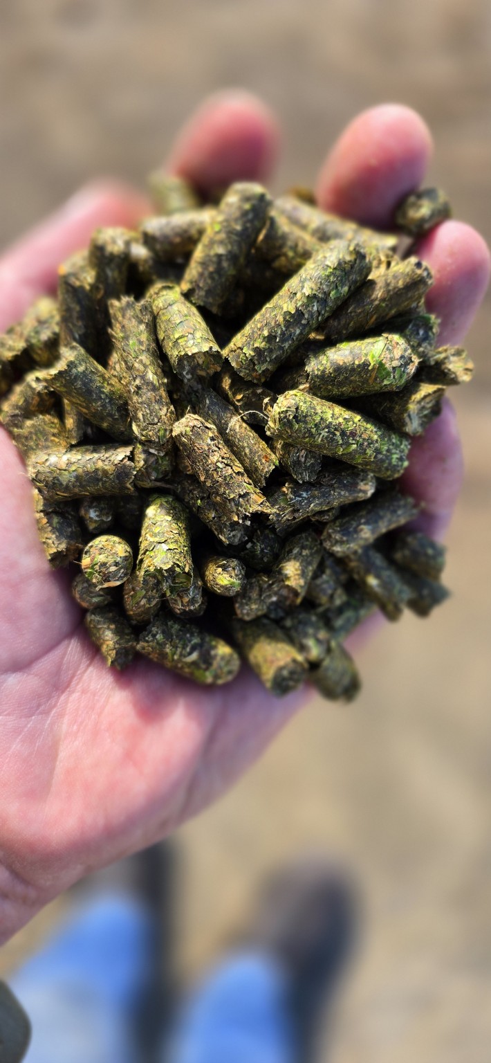 Dark green Good Hope Feeds pellets held in a hand