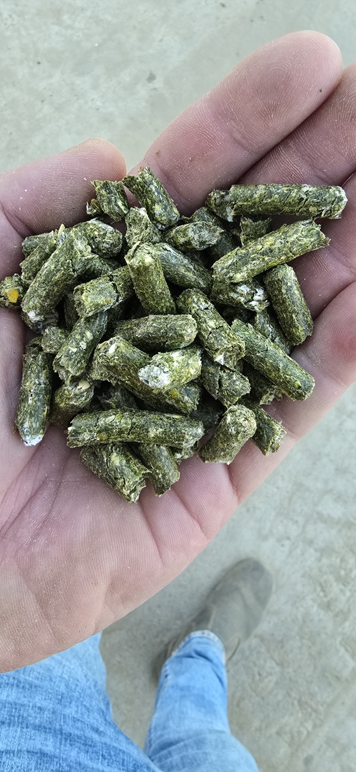 Light green Good Hope Feeds pellets held in a hand